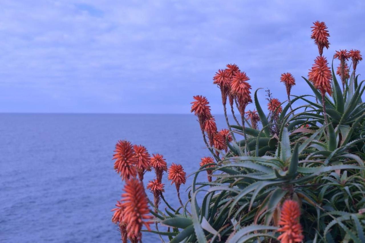 La Casetta Re-Used Apartment Bogliasco Exterior photo